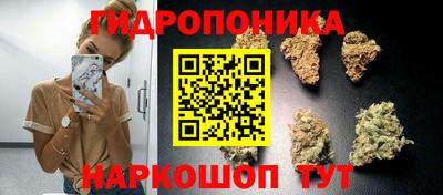 мдпв Аша