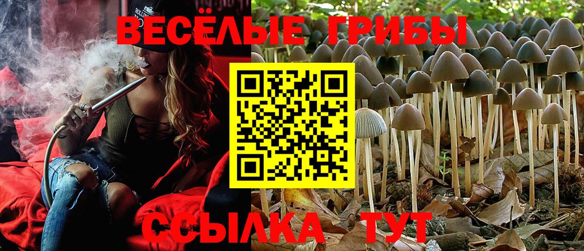 Благодарный  Псилоцибиновые грибы Magic Shrooms  Псилоцибиновые грибы прущие грибы  Вход с VPN 